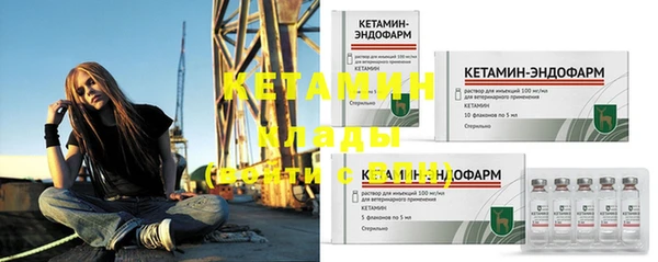 ПСИЛОЦИБИНОВЫЕ ГРИБЫ Богданович