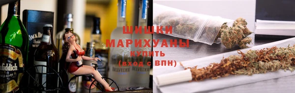 ПСИЛОЦИБИНОВЫЕ ГРИБЫ Богданович
