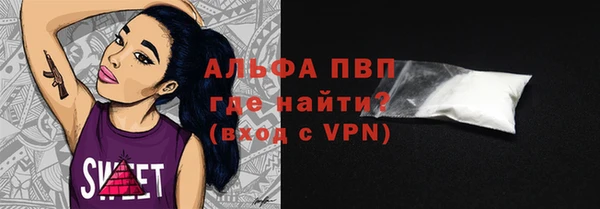 ПСИЛОЦИБИНОВЫЕ ГРИБЫ Богданович
