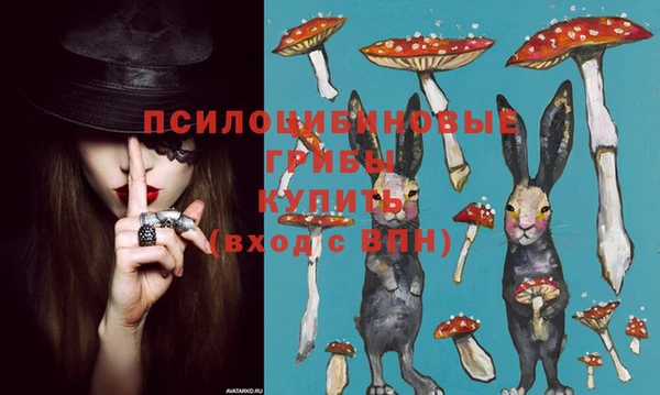 ПСИЛОЦИБИНОВЫЕ ГРИБЫ Богданович