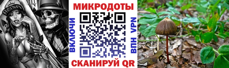 где найти   Мегион  Псилоцибиновые грибы ЛСД 